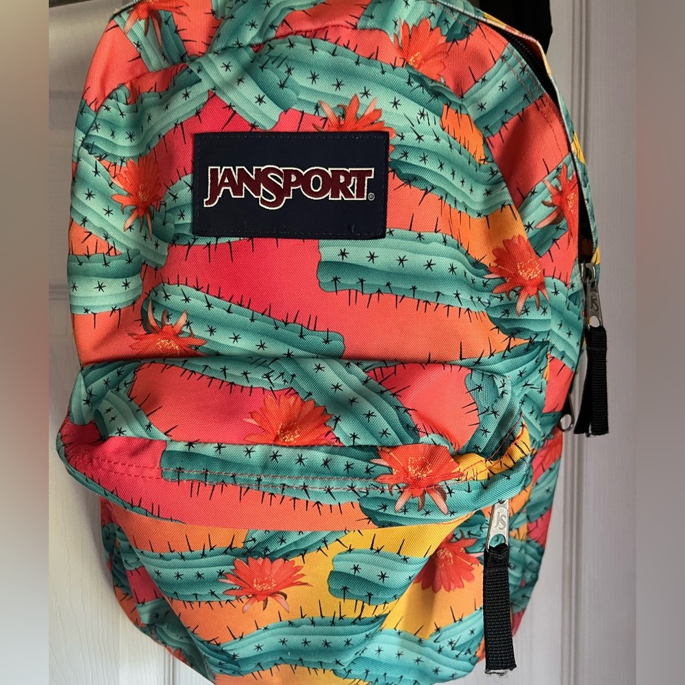 Jansport Cacti Backpack